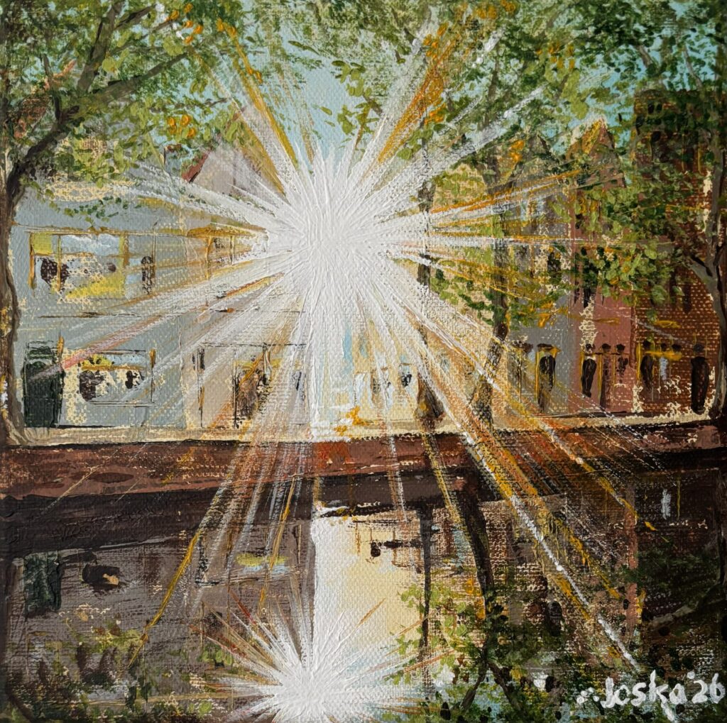 Project Hoge Gouwe hoge gouwe ochtendlicht 2
